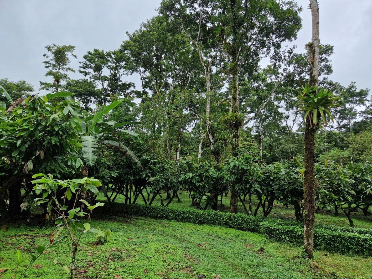 Finca Amistad Cacao Lodge Бійягуа Екстер'єр фото