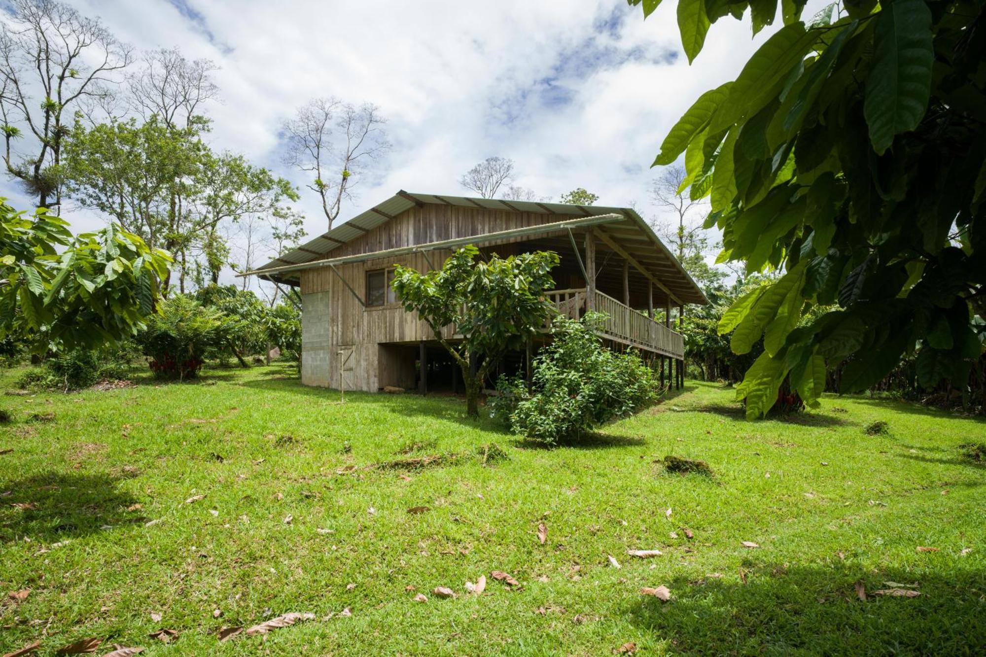 Finca Amistad Cacao Lodge Бійягуа Екстер'єр фото