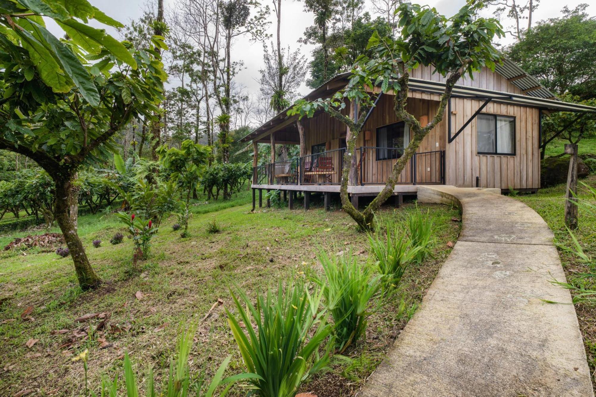 Finca Amistad Cacao Lodge Бійягуа Екстер'єр фото