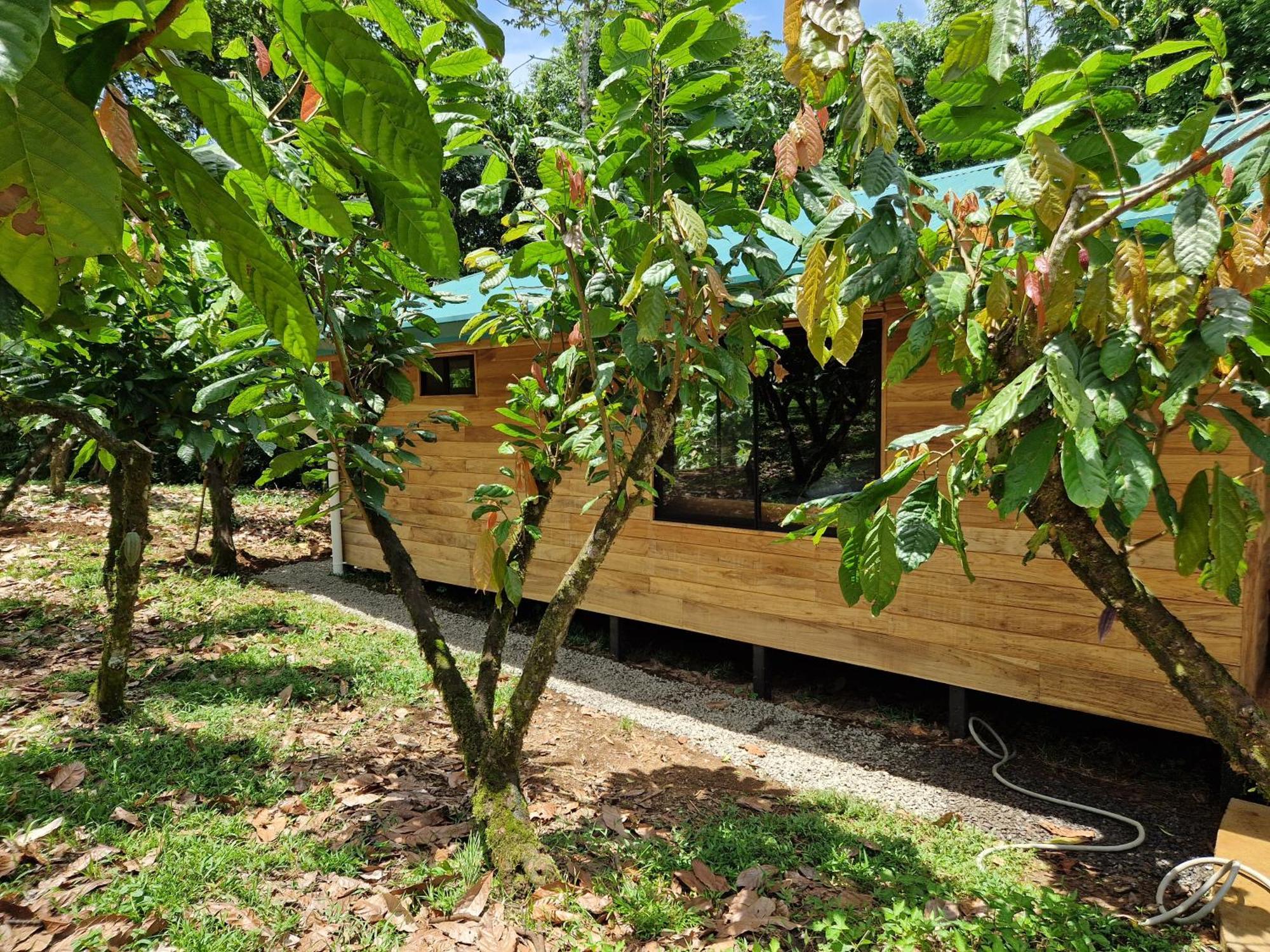 Finca Amistad Cacao Lodge Бійягуа Екстер'єр фото