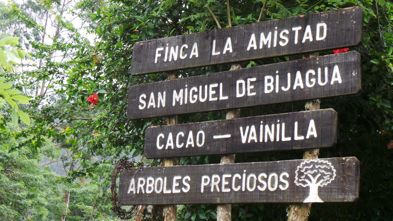 Finca Amistad Cacao Lodge Бійягуа Екстер'єр фото