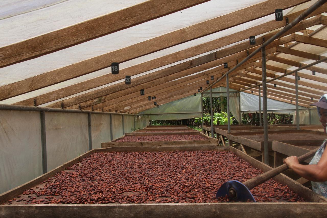 Finca Amistad Cacao Lodge Бійягуа Екстер'єр фото