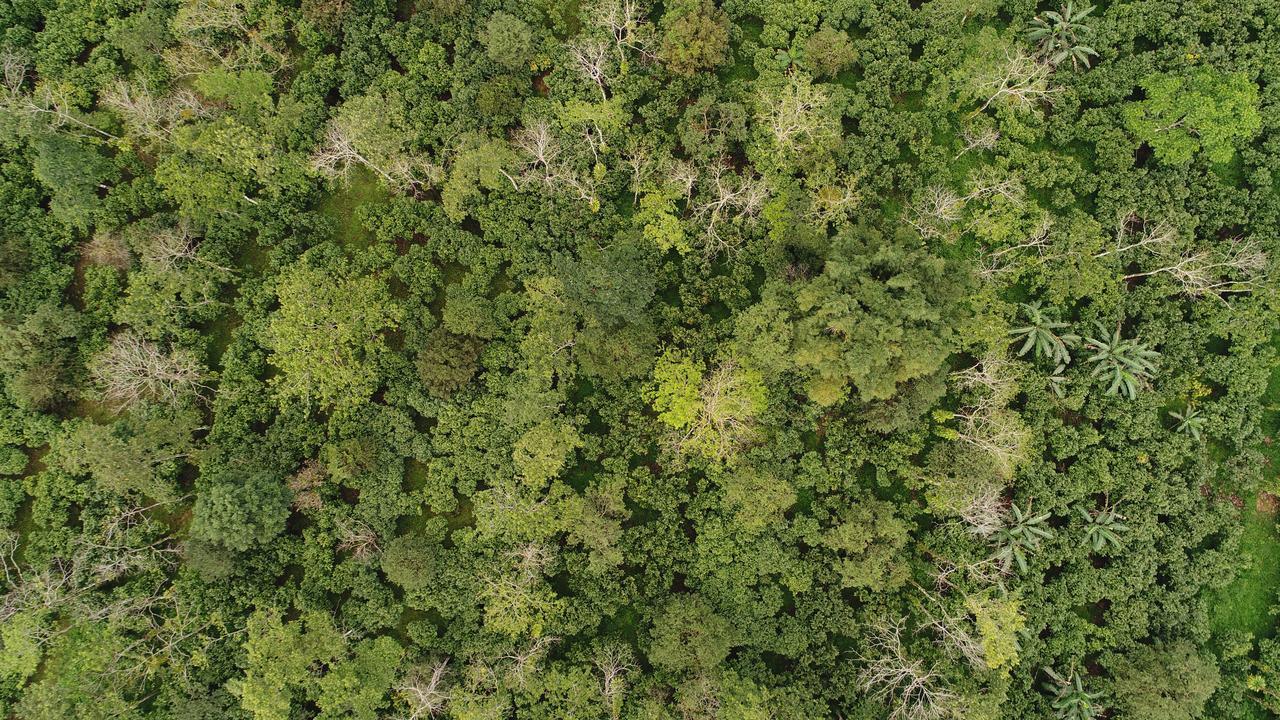 Finca Amistad Cacao Lodge Бійягуа Екстер'єр фото