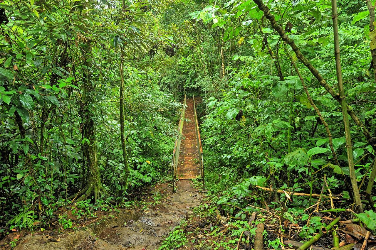 Finca Amistad Cacao Lodge Бійягуа Екстер'єр фото