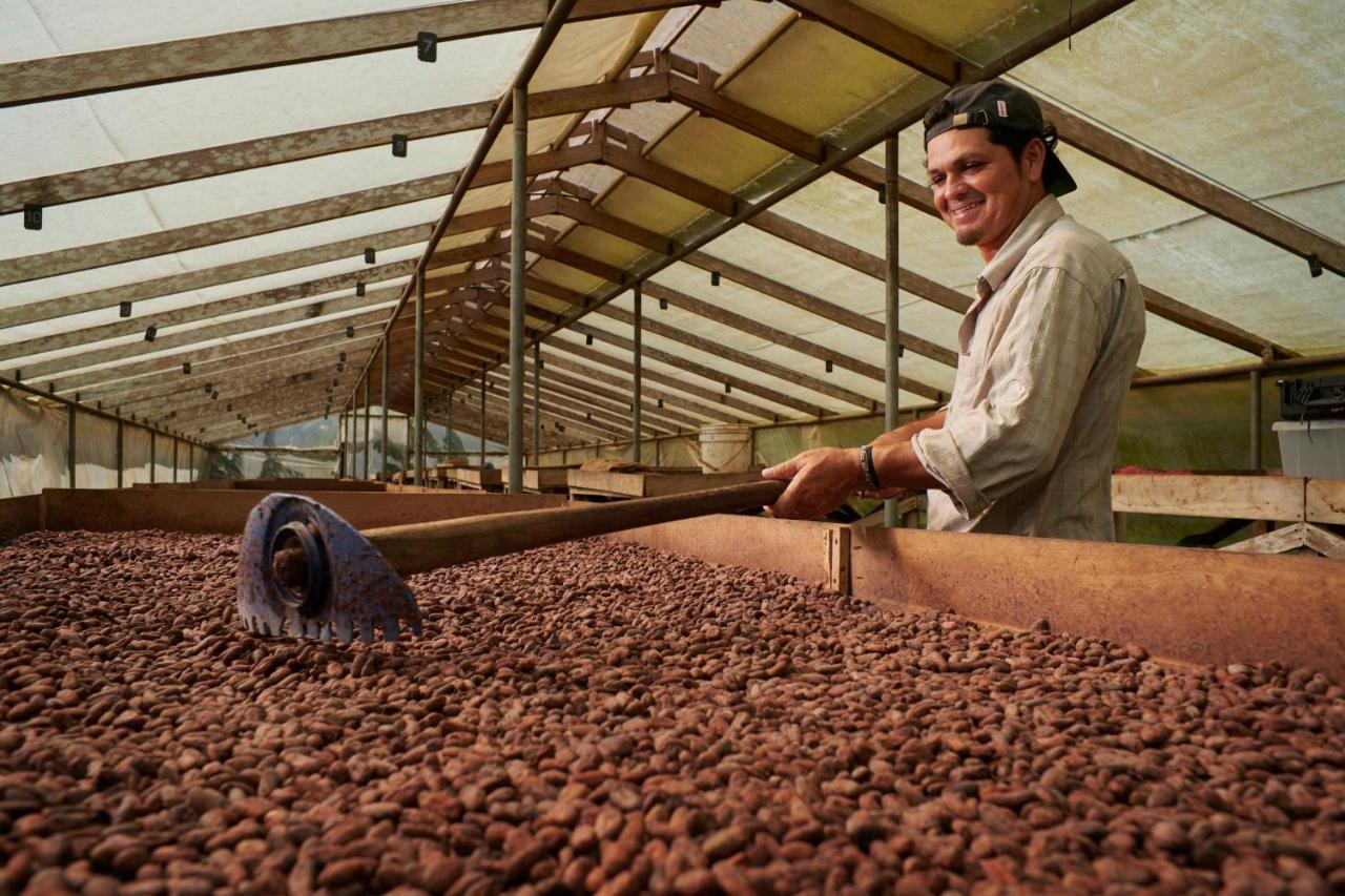 Finca Amistad Cacao Lodge Бійягуа Екстер'єр фото