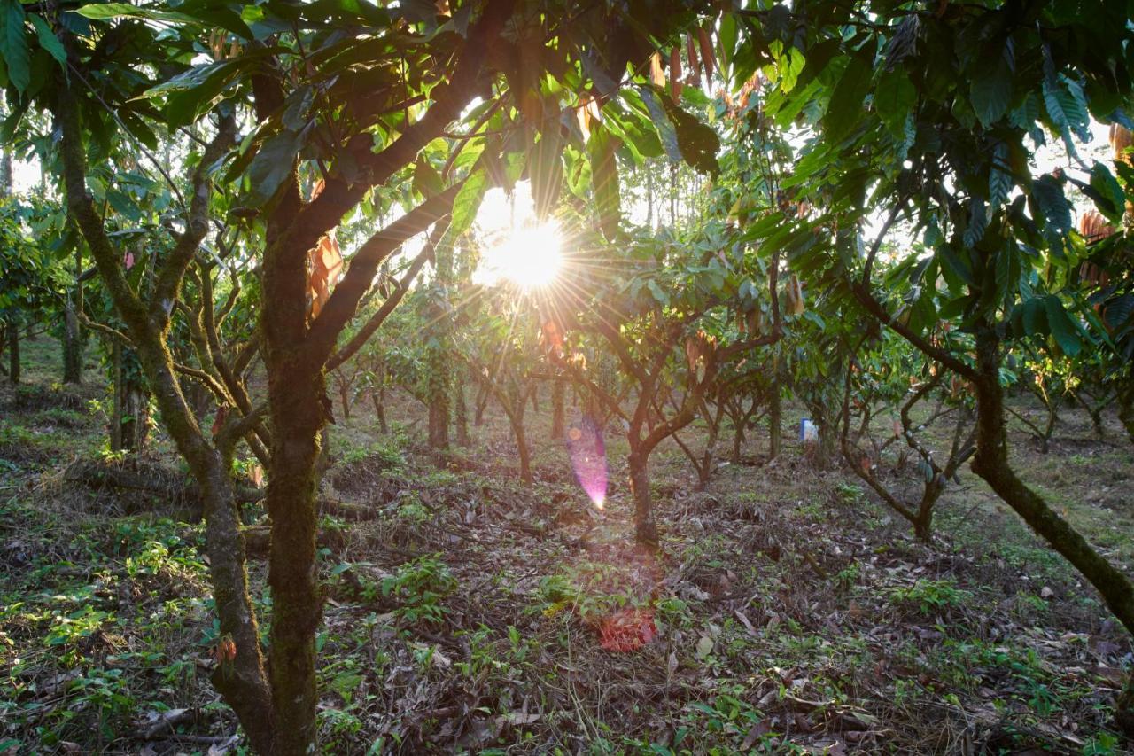 Finca Amistad Cacao Lodge Бійягуа Екстер'єр фото